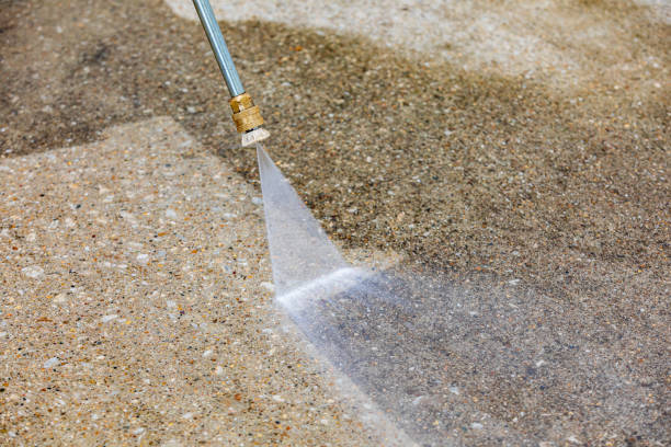 Best Winterizing Services  in Pleasureville, KY