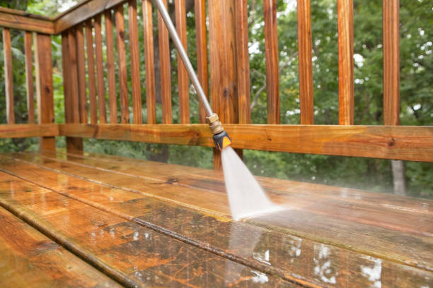 Best Solar Panel Cleaning  in Pleasureville, KY